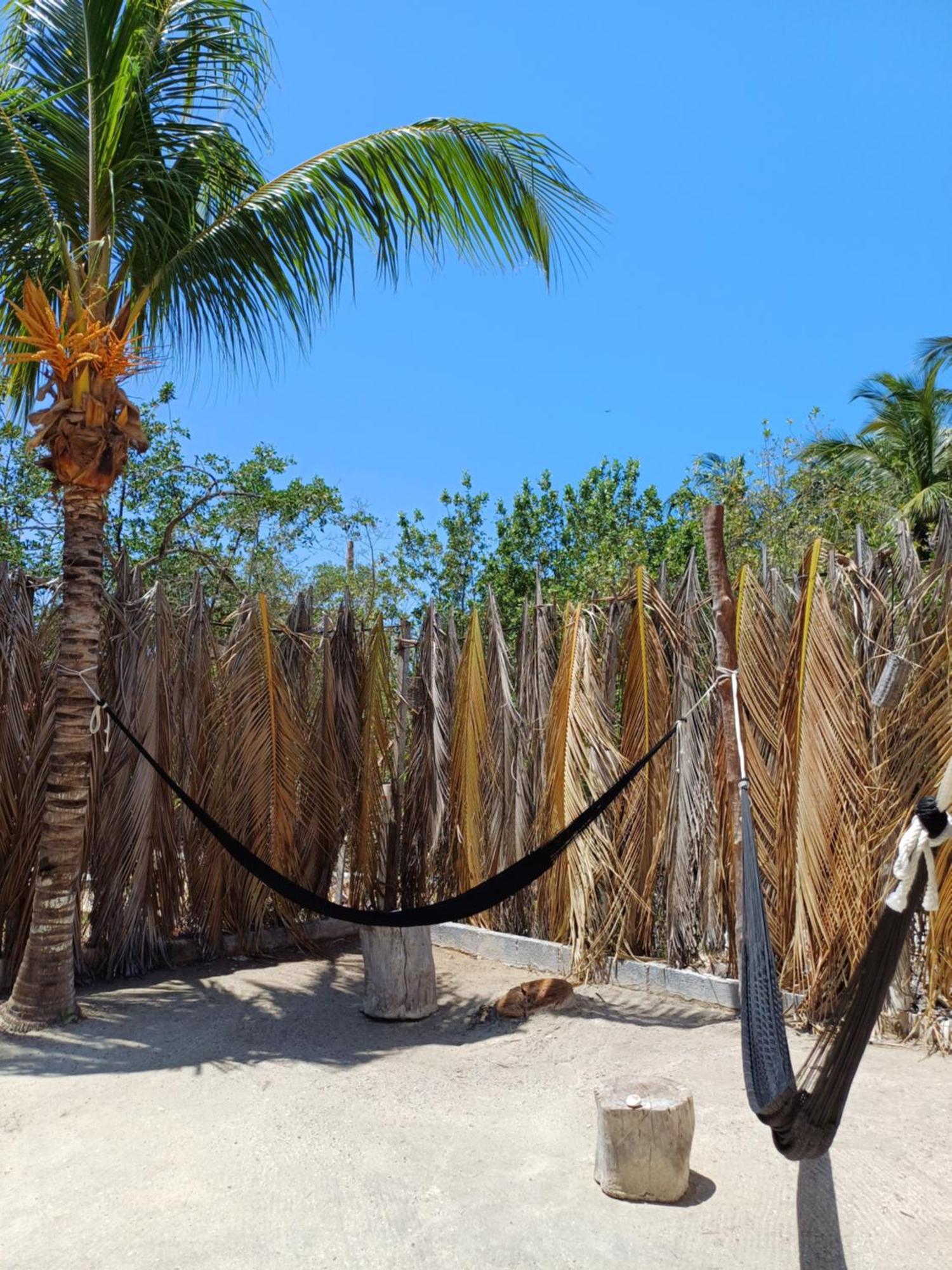 Casa Sofia Holbox Aparthotel Exterior foto